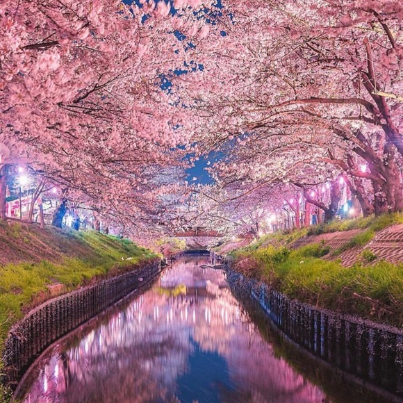 Meet your Posher, Kristi - Picture 1 of 1